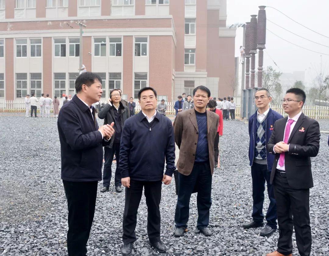 八闽大地，福建文化瑰宝探秘